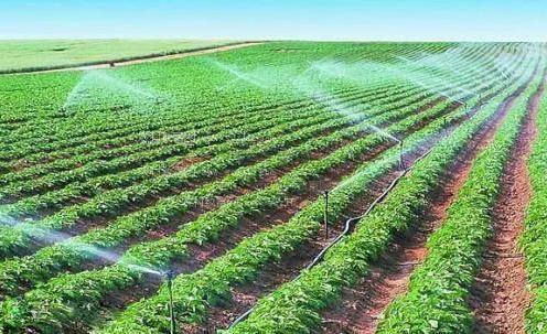 狠插越南美女视频网站农田高 效节水灌溉